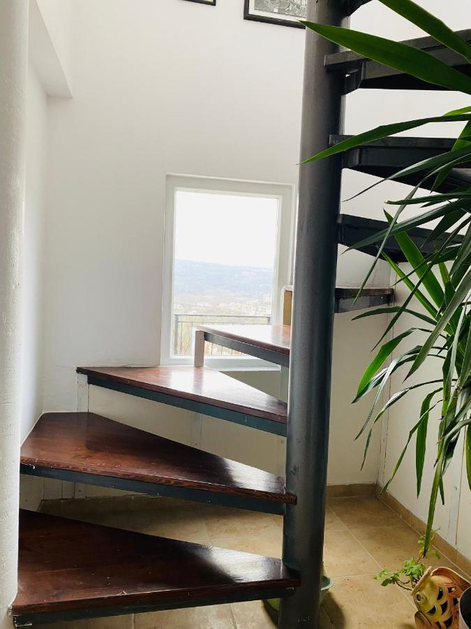 Tsarevets Panoramic Apartments 大特尔诺沃 外观 照片